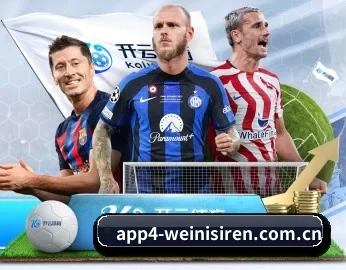 威尼斯人商人电影在线观看 APP 深度功能
